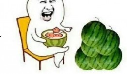 娱乐吃瓜教,吃瓜群众教你如何成为行走的八卦达人