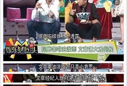 娱乐吃瓜报道文章素材视频,吃瓜群众视角下的幕后故事