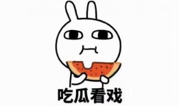 娱乐吃瓜酱梗,吃瓜酱背后的那些事儿