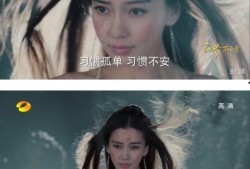 明星人物吃瓜娱乐小说,明星大厨们的幕后美食故事