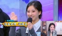 娱乐圈综艺节目吃瓜小说