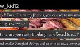 吃瓜娱乐第一线,揭秘娱乐圈幕后故事