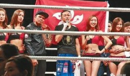 吃瓜娱乐拳击比赛视频大全,精彩拳击比赛视频大盘点