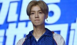 吃瓜娱乐圈鹿晗是谁,娱乐圈的瓜中明星