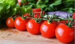 娱乐圈吃瓜番茄,番茄视角下的明星秘闻大揭秘