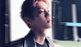 吃瓜娱乐圈鹿晗是谁,娱乐圈的瓜中明星