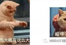 吃瓜娱乐赵小瞒鱼界显眼包,吃瓜娱乐界的焦点人物