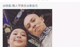 郑爽吃瓜娱乐圈完整版,揭秘吃瓜背后的真相与争议