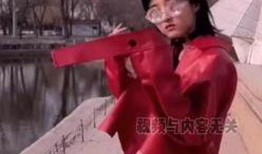 娱乐吃瓜张子枫视频大全,娱乐圈小花的趣味日常