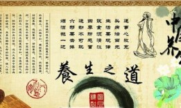 娱乐吃瓜酱中医养生小说,中医养生小说中的趣味人生