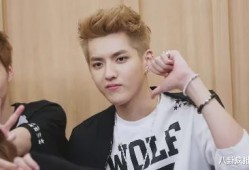 吃瓜娱乐圈任豪,娱乐圈的瓜田新秀，星光璀璨的蜕变之路