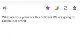 娱乐吃瓜酱英文翻译怎么写,From 'Entertainment Gossipy Sauce' to English: Crafting a Captivating Article Subtitle