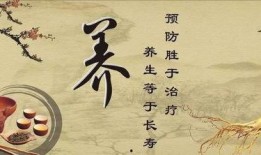 娱乐吃瓜酱中医养生小说,中医养生小说中的趣味人生