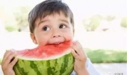 娱乐吃瓜小兔兔小说,小兔兔的吃瓜日常