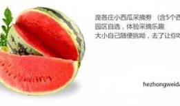 娱乐吃瓜封面如何做的好看,打造吸睛视觉盛宴的五大秘籍