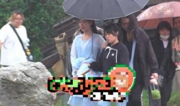 吃瓜娱乐间刘诗诗,瓜田里的优雅女神