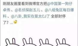 吃瓜娱乐百科大全,揭秘娱乐圈背后的秘密与趣闻