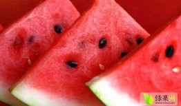 娱乐吃瓜菌的视频怎么拍,视频拍摄幕后技巧大公开