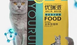 娱乐吃瓜酱收了你的猫粮,宠物界的“网红”效应