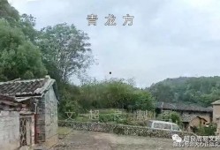 娱乐吃瓜酱连自己人也坑,坑人无数，连自己人也坑的“瓜王”传奇