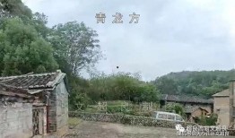 娱乐吃瓜酱连自己人也坑,坑人无数，连自己人也坑的“瓜王”传奇