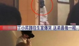 娱乐圈吃大瓜大结局视频