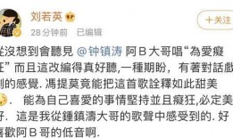 娱乐吃瓜群众歌曲大全歌词,歌曲大全歌词背后的故事与情感