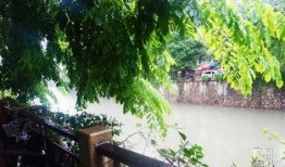 吃瓜娱乐间江南,吃瓜娱乐间里的文学奇才